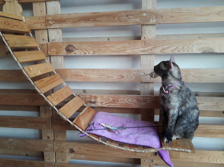 Cat Cafe Manila | For Purr-fect&nbsp;weekend!