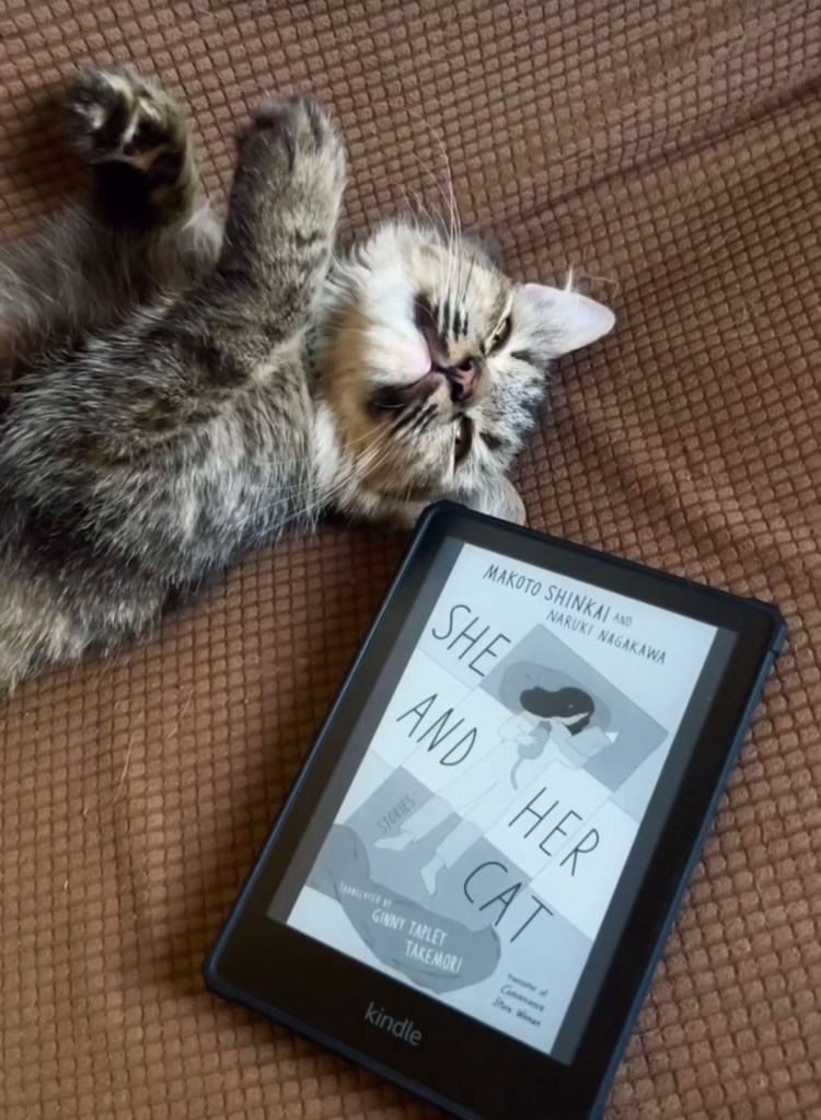 She and Her Cat | By Makoto Shinkai, Naruko&nbsp;Nagakawa