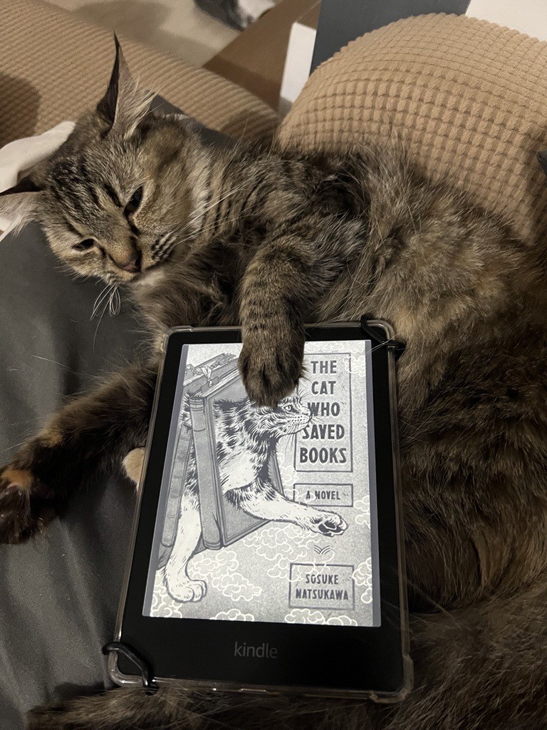 If Cats Disappeared from the World | By Genki&nbsp;Kawamura