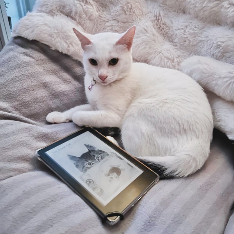 The Guest Cat | By Takashi&nbsp;Hiraide